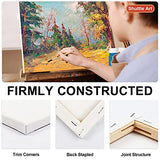 Shuttle Art Stretched Canvas and Acrylic Paint Bundle, Art Painting Supplies Set for 18 Colors Acrylic Paint Bottles (240ml/8.12oz) & 12 Pack Shuttle Art