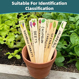 WISYOK 30 Pack 12 Inch Paint Stir Sticks - Wooden Paint Sticks for Mixing, Large Popsicle Sticks for Crafts, Paint Stirrers for Epoxy Resin, Garden WISYOK