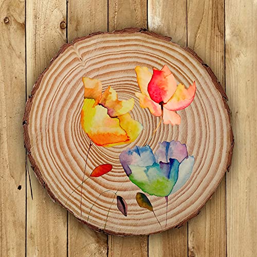 JEUIHAU 10 PCS 6.7-7 Inches Natural Unfinished Wood Slices, Round Wooden Tree Bark Discs, Wooden Circles for DIY Crafts, Christmas, Rustic Wedding - WoodArtSupply