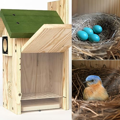 Wooden Bird House for Outside, Bird Box with Viewing Window and Predator Guard, Bluebird Houses for Outside Clearance, Nesting House on a Pole for