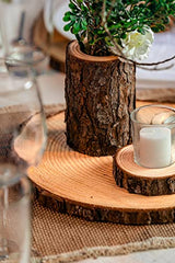 Set of (10) 11-12 inch Wood Slices for centerpieces! Wood Slice centerpieces, Wood Rounds, Tree Slices (11 inch) Rustic Wood Slices Inc.