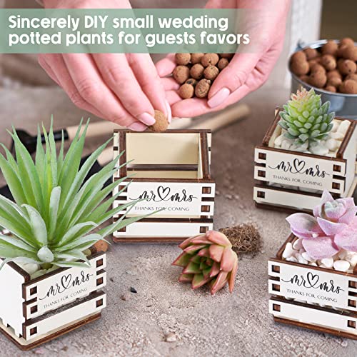 50 Set Wedding Mini Succulent Pot Bridal Unfinished Wood Pot for Succulent Mr Mrs Cute Wooden Plant Holder Bouquet Box Rustic Plant Pot for Guest