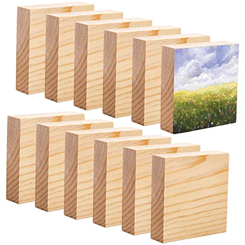 YOUEON 12 Pack Unfinished Wood Blocks for Art and Crafts, 4 X 4 X 1 Inch MDF Wood Board Wood Square Blocks Craft Panels Great for Crafts, Painting, Youeon