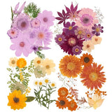 Pressed Flowers Bulk Dried Flower for Resin Mold, Dried Flower Leave Natural with Tweezer for Crafts Christmas DIY Gift Scrapbooking(Rustic Style) Nuanchu