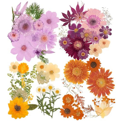Pressed Flowers Bulk Dried Flower for Resin Mold, Dried Flower Leave Natural with Tweezer for Crafts Christmas DIY Gift Scrapbooking(Rustic Style)