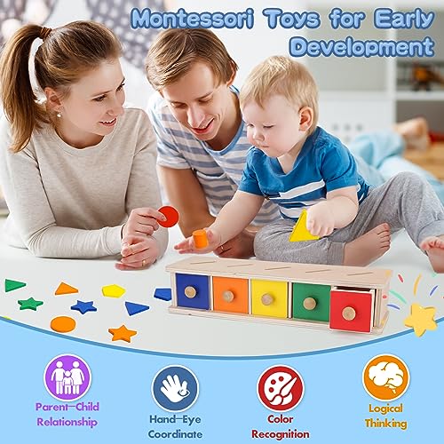 Montessori Toys Wooden Color & Shape Sorter Toys for Toddlers 1-3 Matching Box Sorting Blocks Manipulatives Preschool Learning Activities Educational Peacurh
