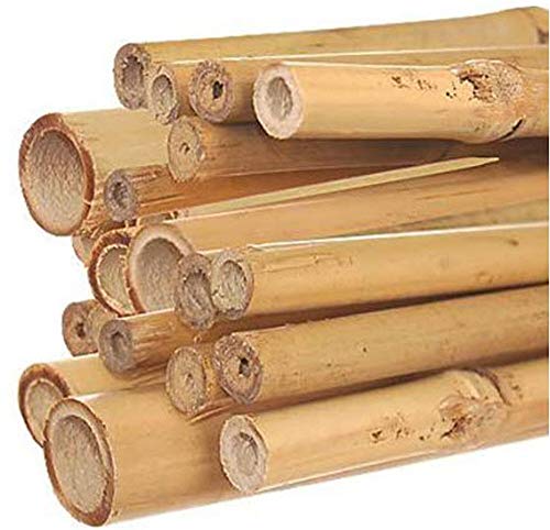 Hydrofarm HGBB6 6' Natural, pack of 25 Bamboo Stake, Tan Hydrofarm