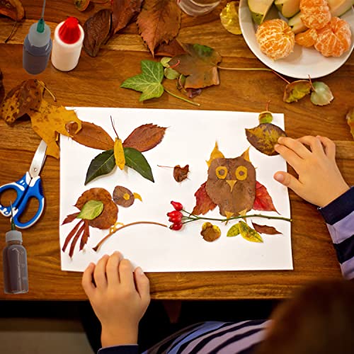 Expesumas 6 Pcs Glue Applicator Bottles, 30ml Plastic Squeezable Dropper Bottles with Blunt Needle Tip 14ga 16ga 18ga 20ga for Glue Applications, Expesumas