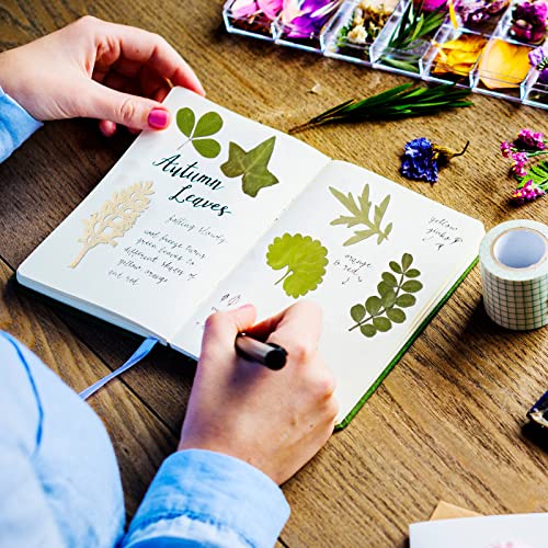 84 Pieces Dried Pressed Leaves Dried Flowers for Resin Dried Leaves for Resin Mini Dried Flowers for Crafts Dried Greenery Assorted Dried Leaves for Timtin