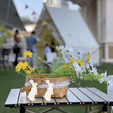 Easter Wooden Bunny Cutouts Unfinished Wooden Rabbit Cutouts Blank Bunny Wood Slices Ornaments for Christmas Wedding Birthday Party Easter Spring Zontween