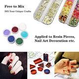 CellLuck Resin Decoration Accessories Kit for Beginners,UV Resin Jewelry Making Kit with Resin Glitter, Foil Flakes, Dried Flowers for DIY Crafts CellLuck