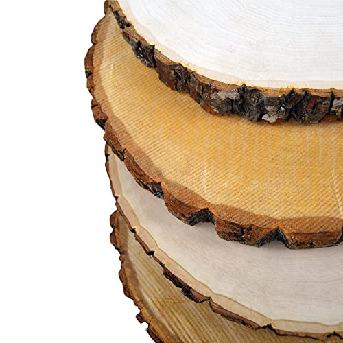 Wilson Wood Slice 4 Pack Basswood Round Rustic, Sanded Side, 9-12" Diameter, for Wedding Centerpiece, Babyshowers, DIY Projects, Table Chargers, Wilson
