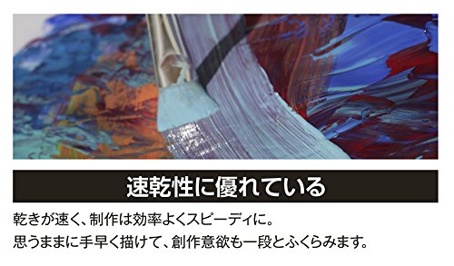 Turner acrylic gouache 12 color set school by Turner color Turner Colour Works