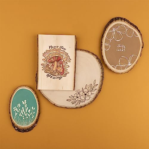 Walnut Hollow Basswood Country Round, Extra Large for Woodburning, Home Décor and Rustic Weddings Walnut Hollow