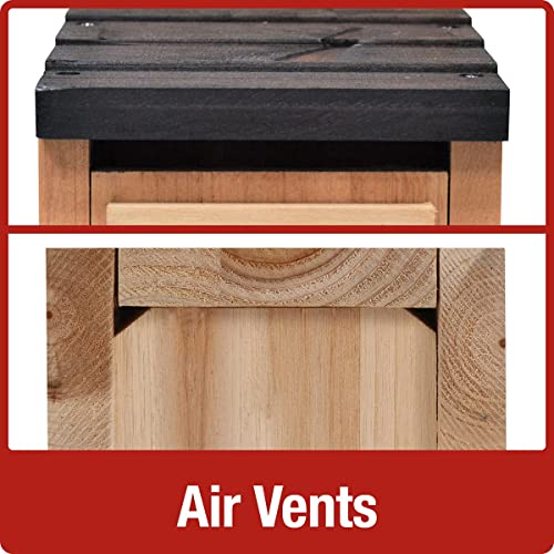 Nature's Way Bird Products CWH3 Cedar Bluebird Box House Nature's Way