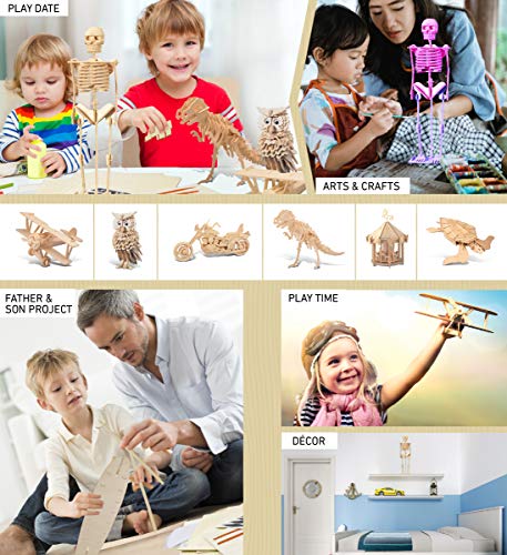 Puzzled 3D Puzzle Human Skeleton Wood Craft Construction Model Kit, Fun & Educational DIY Wooden Toy Assemble Model Unfinished Crafting Hobby Puzzle