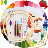 Similane Embroidery Kit 215 Pcs,100 Colors Threads,5 Pcs Embroidery Hoops,3 Pcs Aida Cloth,40 Sewing Pins,Cross Stitch Tools and Embroidery Starter Similane