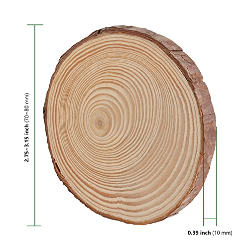 HAKZEON 100 PCS 2.8-3.2 Inches Natural Wood Slices, 2/5 Inches Thick Wood Rounds with Bark, Unfinished Wooden Discs for Crafts Rustic Wedding - WoodArtSupply