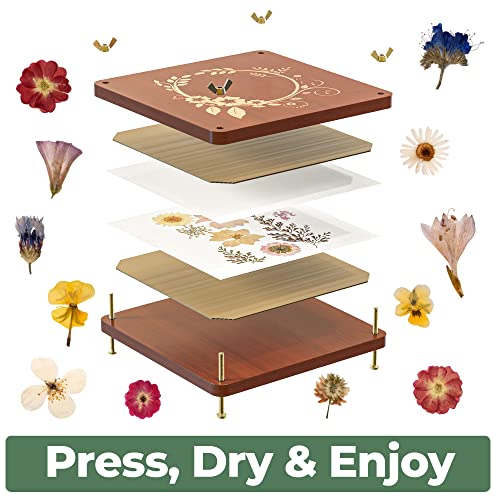 Large Wooden Flower Pressing Kit with Dried Flowers - 10 Layers - DIY Solid Maple Arts and Crafts for Adults with Storage Bag - 10x10 inches - WoodArtSupply