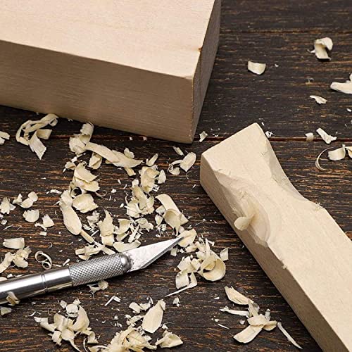 4 Inch Wood for Carving, 12 PCS Unfinished Wood Craft Cubes, Rectangular Wooden Blocks for DIY Carving, Crafting and Whittling for Adults Beginner