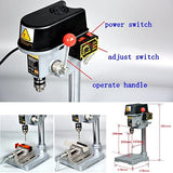 EWANYO 3-Speed Benchtop Drill Press, Electric Bench Wood Drilling Machine for DIY Creation, Small and Precise Work Like Jewelry Making Woodworking EWANYO