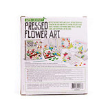 4M Green Creativity Pressed Flower Art Kit, Recycle Flowers Art & Crafts DIY Kit, For Boys & Girls Ages 5+ 4M