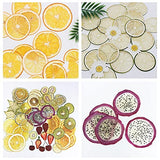 WANDIC Four Leaf Clover Flower Press Kit, Wooden Art Kit Plant Press Book Flower Fruit Press Kit for DIY Art Handicrafts Specimens Outdoor Learning WANDIC