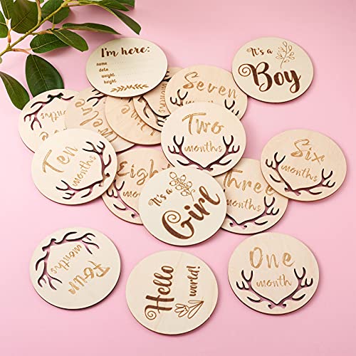 Pandahall 16pcs Baby Monthly Milestone Cards from Newborn to 1 Year Wooden Newborn Photo Card Props Pregnancy Journey Milestone Markers for Baby Girl - WoodArtSupply