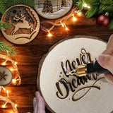 TEKCHIC 60W Professional Wood Burning Kit Pro Wood Burner Pyrography Tool with 20 Wire Nibs Tips Including Ball Tips TEKCHIC