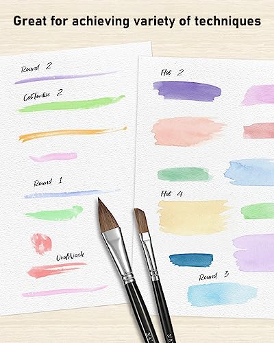 Nicpro 10 PCS Sable Watercolor Brush Set, Professional Watercolor Paint Brushes, Artist Kolinsky Variety Shapes with Flat Round Pointed Paint Brush Nicpro