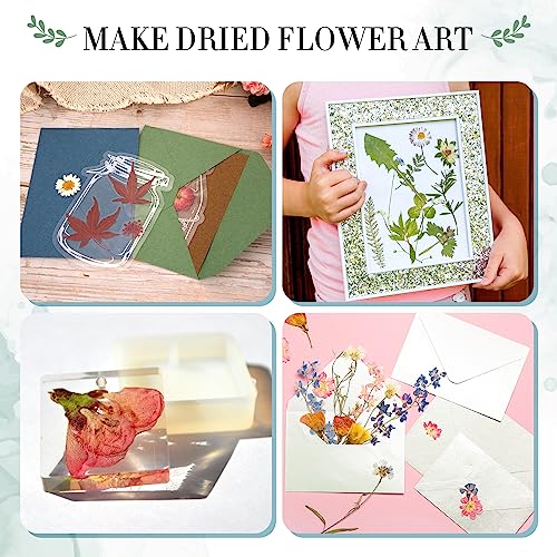 Aboofx Large Professional Flower Press Kit, 6 Layers 10.8 x 6.9 inch DIY Flower Pressing Kit for Adults to Making Dried Flower & Press Flowers Arts Aboofx