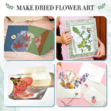 Aboofx Large Professional Flower Press Kit, 6 Layers 10.8 x 6.9 inch DIY Flower Pressing Kit for Adults to Making Dried Flower & Press Flowers Arts Aboofx