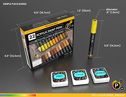 TOOLI-ART 22 Acrylic Paint Markers Paint Pens Pro Color Series Set 3mm Medium Tip for Rock Painting, Glass, Mugs, Wood, Metal, Glass Paint, Canvas, TOOLI-ART