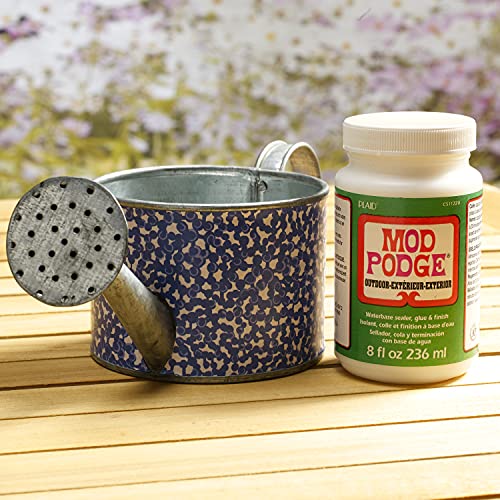 Mod Podge Waterbase Sealer, Glue and Finish for Outdoor (8-Ounce), CS11220 Clear Finish Mod Podge