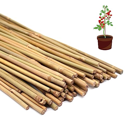 POLIUMB 50PCS Plant Stakes,16 Inch Natural Bamboo Stakes，Garden Stakes for Indoor and Outdoor Plants，Poles Sticks for Tomatoes,Beans,Flowers,Trees POLIUMB