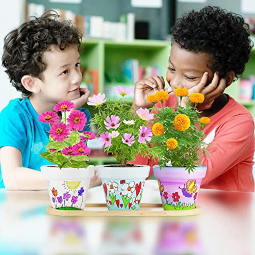 Cast, Paint & Plant Kit for Kids & Teens - Birthday Gift Ideas for Girls & Boys Age 8-14 Year Old Tween Girl Christmas - STEM Teenage Crafts Gifts Dan&Darci