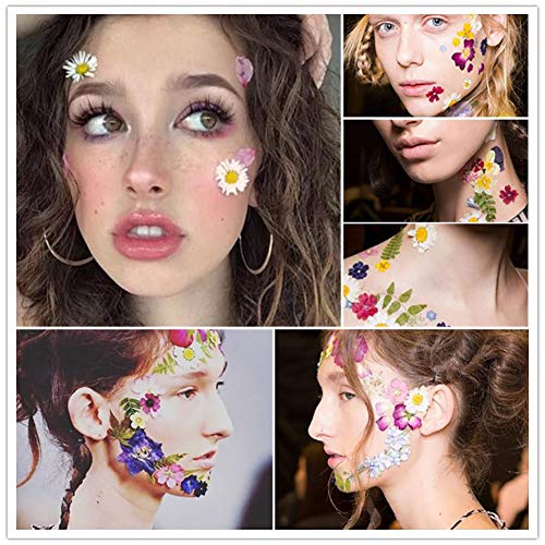 170Pcs+ Real Dried Pressed Flowers Leaves Petals for Crafts-Beautiful Pressed Flowers Daisies for Resin Jewellery, Pressed Flowers Nail Pendant Vignee