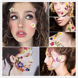 170Pcs+ Real Dried Pressed Flowers Leaves Petals for Crafts-Beautiful Pressed Flowers Daisies for Resin Jewellery, Pressed Flowers Nail Pendant Vignee