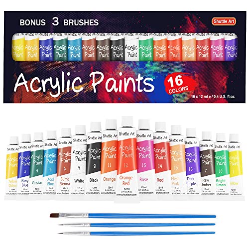 Shuttle Art Acrylic Paint Set, 16 x12ml Tubes Artist Quality Non Toxic Rich Pigments Colors Great for Kids Adults Professional Painting on Canvas Shuttle Art