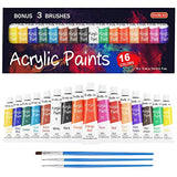 Shuttle Art Acrylic Paint Set, 16 x12ml Tubes Artist Quality Non Toxic Rich Pigments Colors Great for Kids Adults Professional Painting on Canvas Shuttle Art