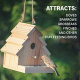 Bird House Kit for Adults and Children to Build and Paint - Easy Simple DIY Birdhouse Wood Craft Projects Bird House Tweet