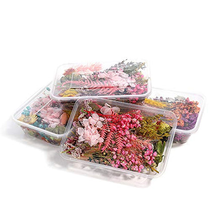 AGCFABS 1 Box Random Real Dried Flower Resin Mold Fillings UV Expoxy Flower for Epoxy Resin Molds Jewelry Making Craft DIY Accessories (Random) - WoodArtSupply