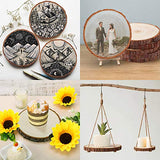 Fuyit Wood Slices 8 Pcs 5.5-6 Inches Unfinished Natural Tree Slice Wooden Circle with Bark Log Discs for DIY Arts and Craft Rustic Wedding Christmas Fuyit