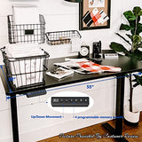 FLEXISPOT EN1 Electric Height Adjustable Standing Desk 55 x 28 Inches Whole-Piece Board Memory Controller Home Office Desk(Black Frame + 55" Black FLEXISPOT