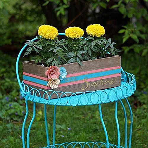 DecoArt Patio Paints - 2 Pack 2oz Wrought Iron Paint - Acrylic Water Based Weatherproof Paint -Scruff & Scratch Resistant Outdoor Paint for Patio DecoArt