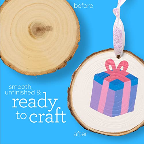 Apple Barrel PROMOABWR22 DIY Craft Featuring 12 Paints, 2 Mod Podge Acrylic Sealers, 4 Wood Rounds and 10 Brushes, 28 Piece Set, Multi Apple Barrel