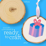 Apple Barrel PROMOABWR22 DIY Craft Featuring 12 Paints, 2 Mod Podge Acrylic Sealers, 4 Wood Rounds and 10 Brushes, 28 Piece Set, Multi Apple Barrel