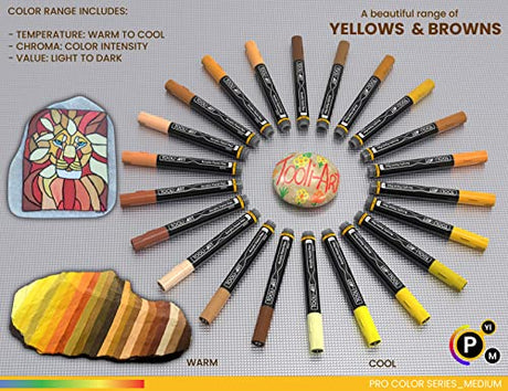 TOOLI-ART 22 Acrylic Paint Markers Paint Pens Pro Color Series Set 3mm Medium Tip for Rock Painting, Glass, Mugs, Wood, Metal, Glass Paint, Canvas, TOOLI-ART