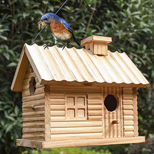 Bird Houses Outside,Outdoor Bird House, Natural Wooden Bird Hut Clearance 2 Hole Bluebird Finch Cardinals Hanging Birdhouse for Garden Viewing - WoodArtSupply