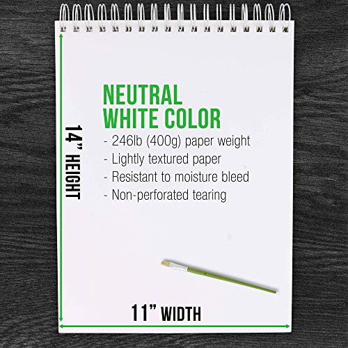 U.S. Art Supply 9" x 12" Premium Extra Heavy-Weight Acrylic Painting Paper Pad, 246 Pound (400gsm), Spiral Bound, Pad of 12-Sheets (Pack of 2 Pads) U.S. Art Supply